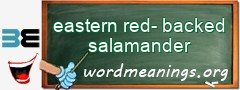 WordMeaning blackboard for eastern red-backed salamander